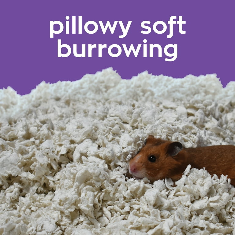 Toilet Paper Bedding For Hamsters