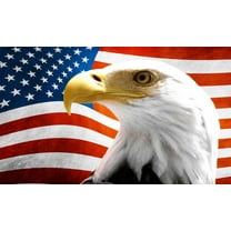 12in x 8in American Flag Eagle Magnet Patriotic Magnetic  Magnets