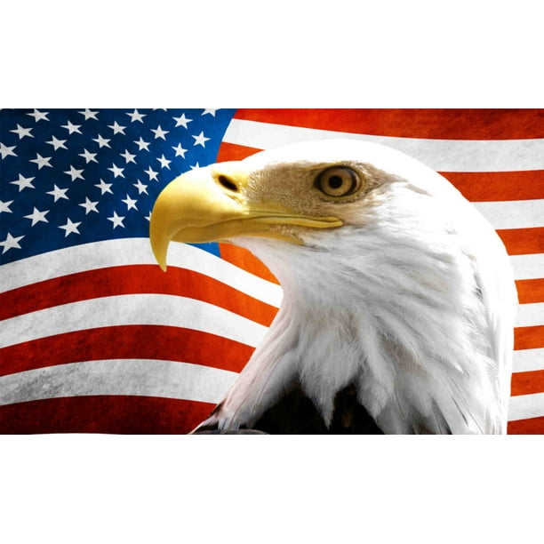 12in x 8in American Flag Eagle Patriotic
