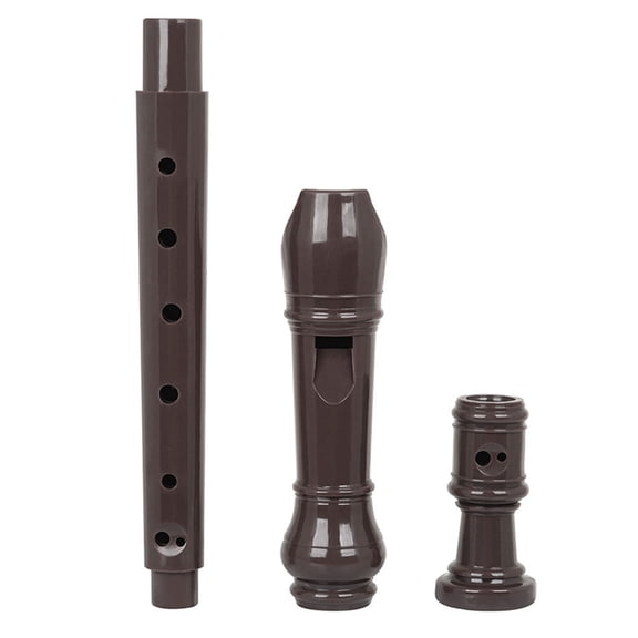 FUEENIRVA Coffee Color 8 Hole Recorder for Beginners School and Ensemble Use