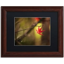 Trademark Fine Art "Don't Give Up" Canvas Art by Philippe Sainte-Laudy Black Matte, Wood Frame