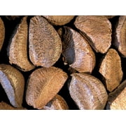 Brazil Nuts- Raw in-shell and Large 1 LB