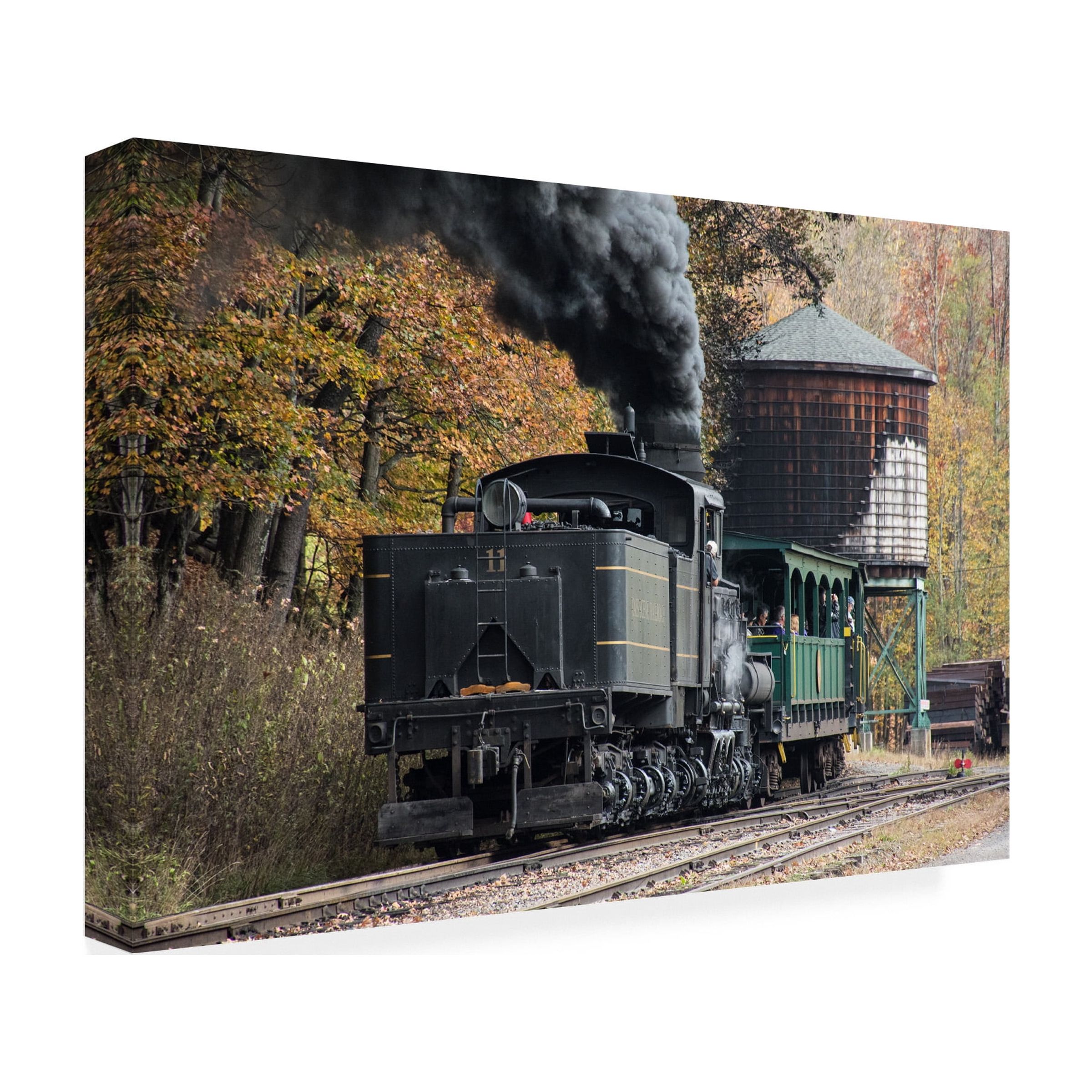 Robert Michaud 'Cass Scenic Railroad 1' Canvas Art