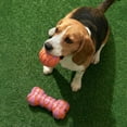 thumbnail image 4 of Oodles Durable Rubber Textured Dog Toy 2-Piece Set, Pink Ball and Bone, One Size, 4 of 8