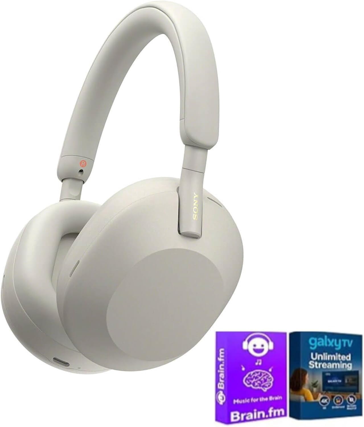 Sony WH-1000XM4 Wireless Noise Canceling Headphones + Google