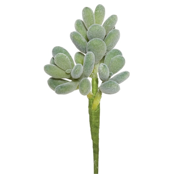 Vickerman 7" Artificial Frosted Crassula Pick, Set of 3
