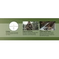 thumbnail image 3 of Steiner Optics Predator 4 2.5-10 x 42 E3 Reticle Riflescope and Sight for Hunting, 3 of 4