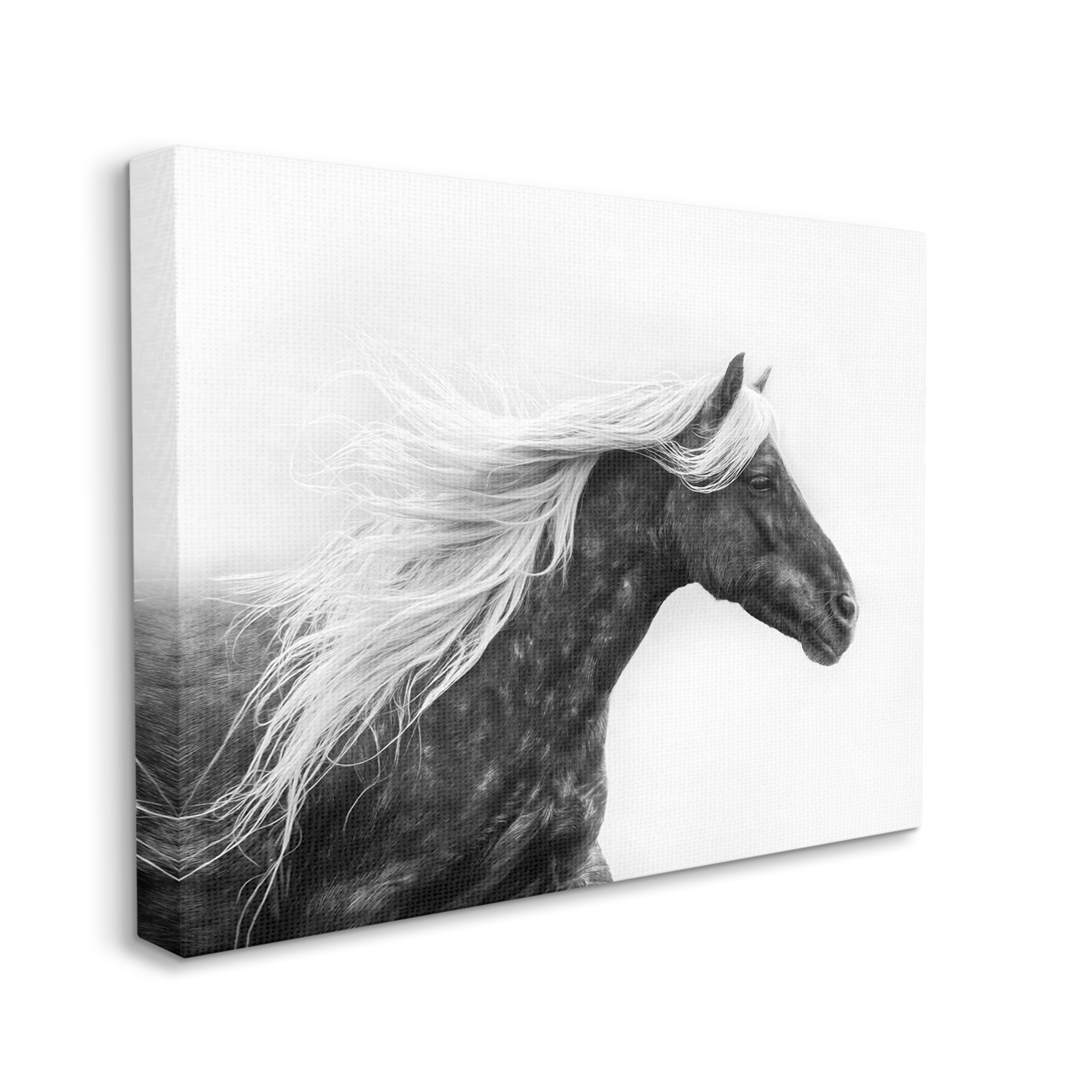 Stupell Industries Horse with White Mane Animals & Insects Photography Gallery Wrapped Canvas Art Print Wall Art, 30 x 24