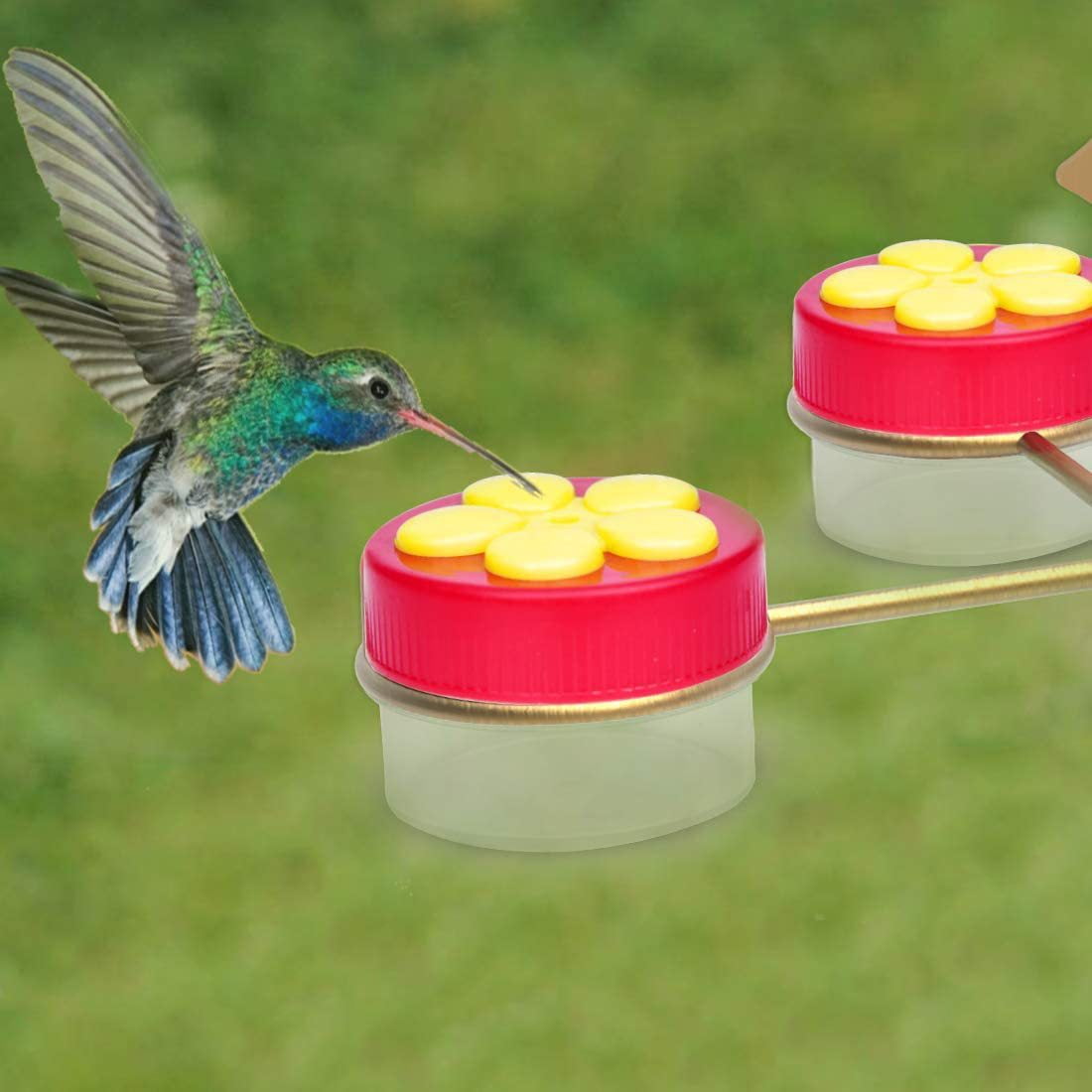 Hummingbird Hand Feeder 4 Pack Flower Hummingbird Feeder Mini Handheld