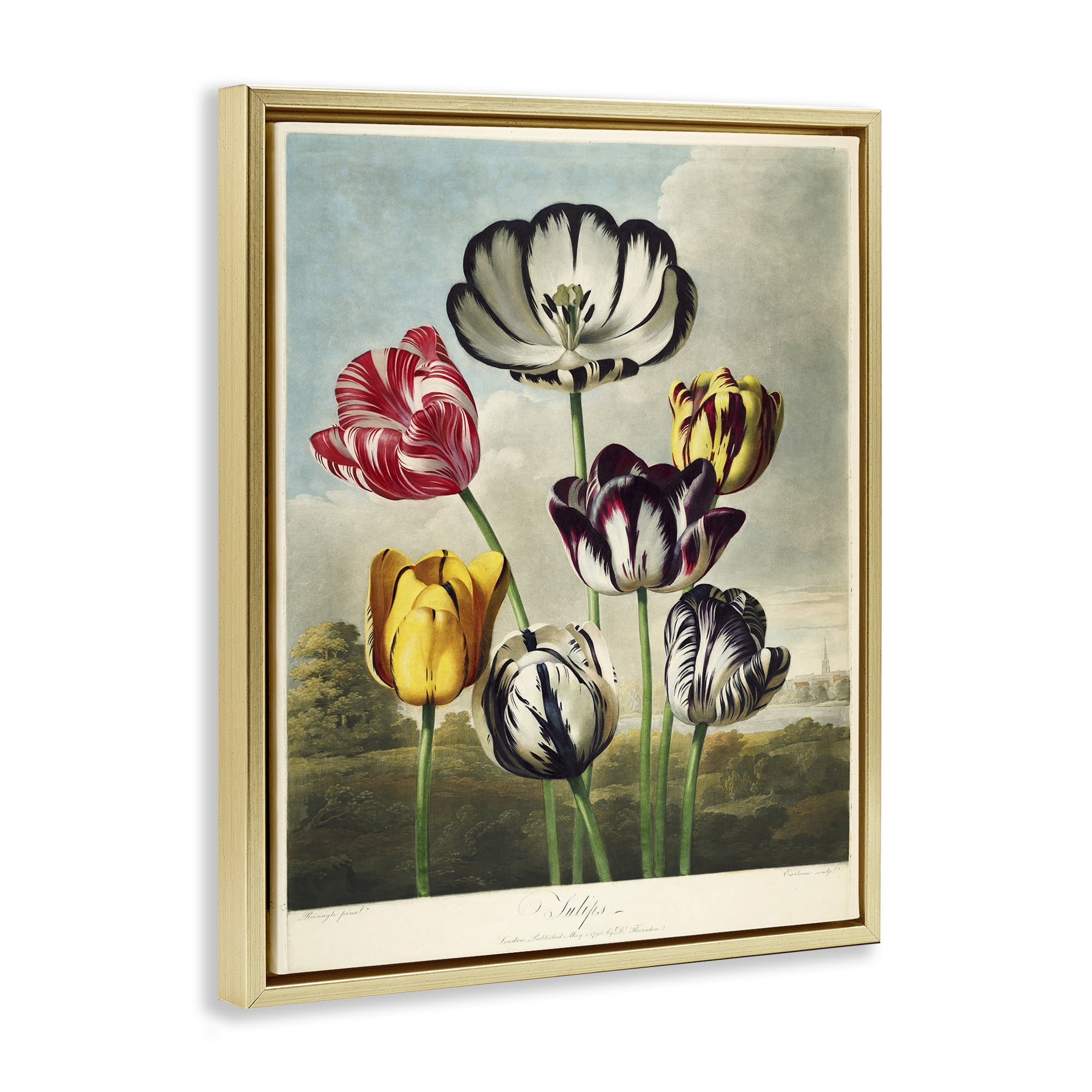 Stupell Industries Tulips From The Temple Gold Framed Floater Canvas Wall Art, design by Print Collection