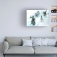 thumbnail image 3 of Jennifer Paxton Parker 'Foggy Evergreens I' Canvas Art, 3 of 3