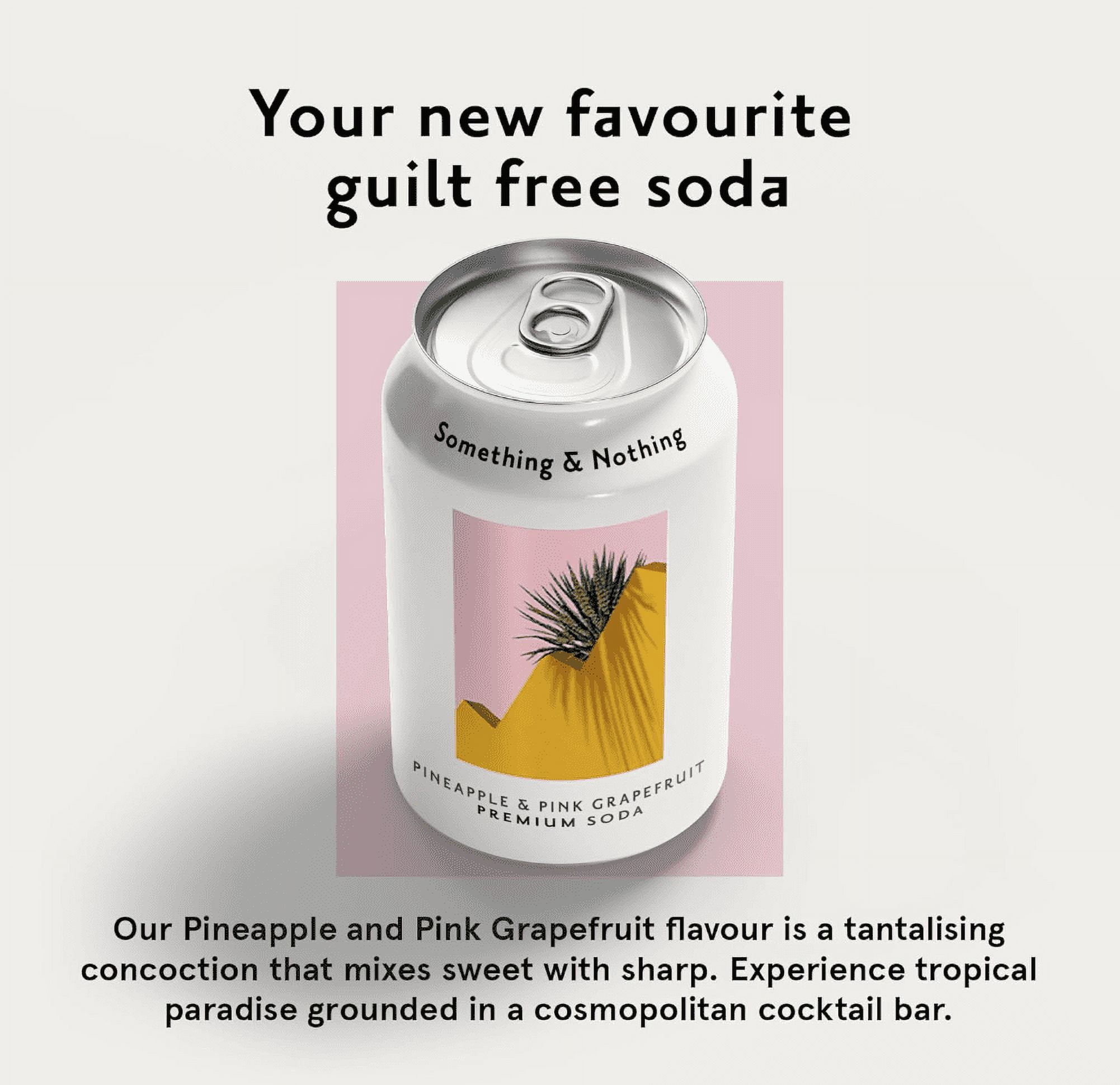 Something & Nothing Lightly Carbonated Pineapple & Pink Grapefruit Premium Soda Case of 12 x 12 Fl Oz