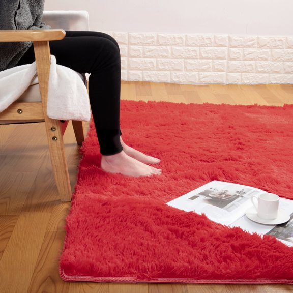 Shaggy Area Rugs Super Soft Indoor Home Decor Carpets Anti-Skid Durable Rectangular Plush Rugs (63"x47.2")