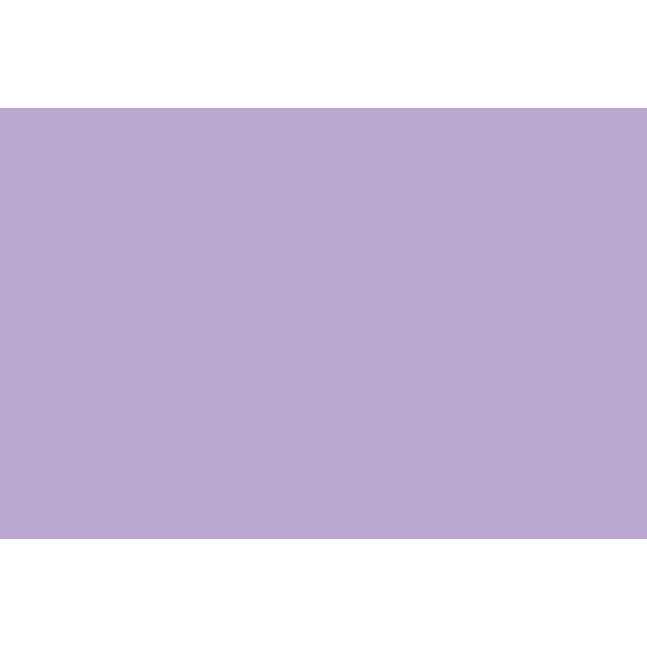 (2 pack) Cricut Everyday Iron-On Vinyl, Lilac, 12" x 24" Roll