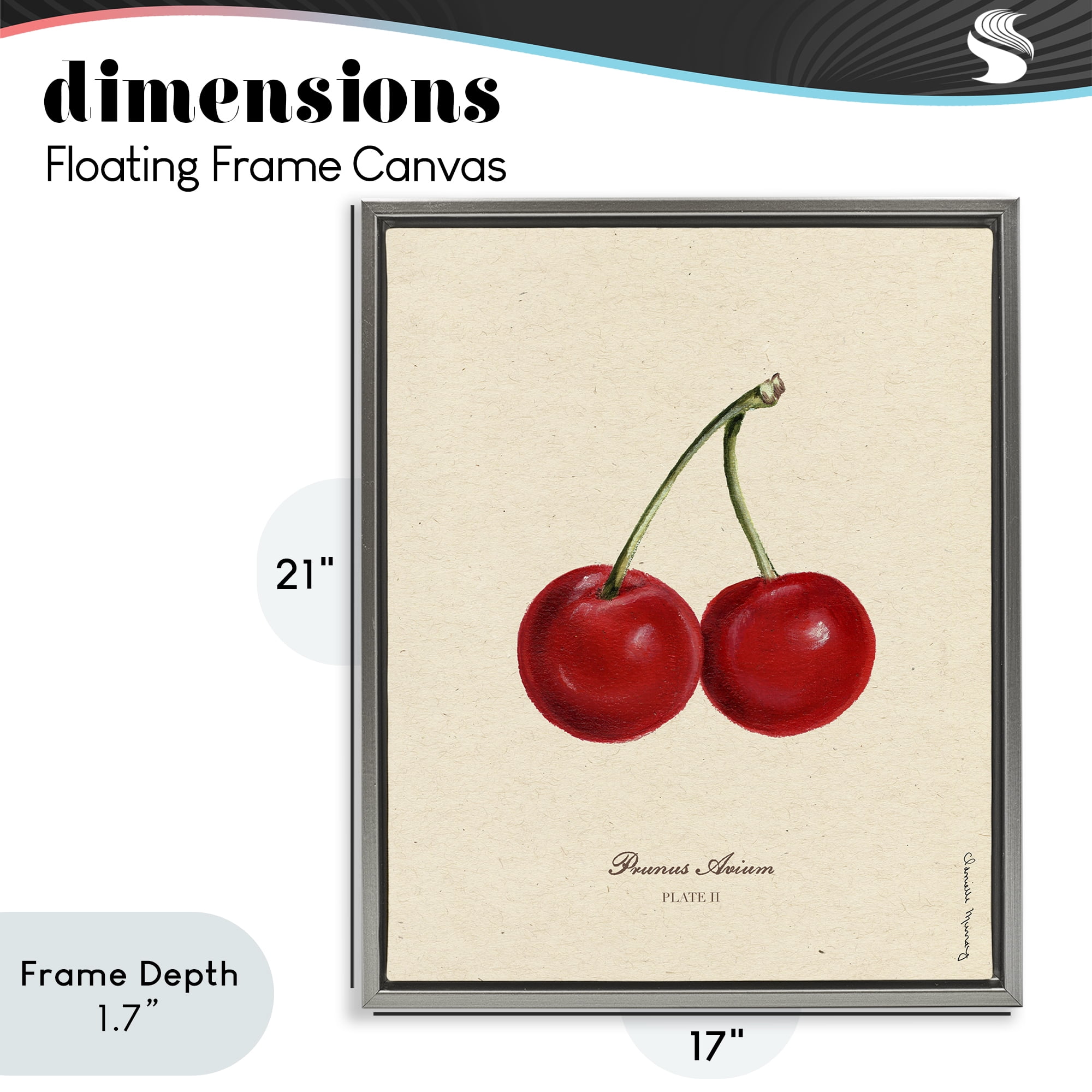 Stupell Industries Cherry Fruit Portrait Gray Framed Floater Canvas Wall Art, design by Danielle Murray