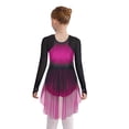 thumbnail image 5 of Sholeno Girls Gradient Color Figure Skating Dress Rhinestone Shiny Mesh Long Sleeve Dance Dresses Hot Pink 12, 5 of 6