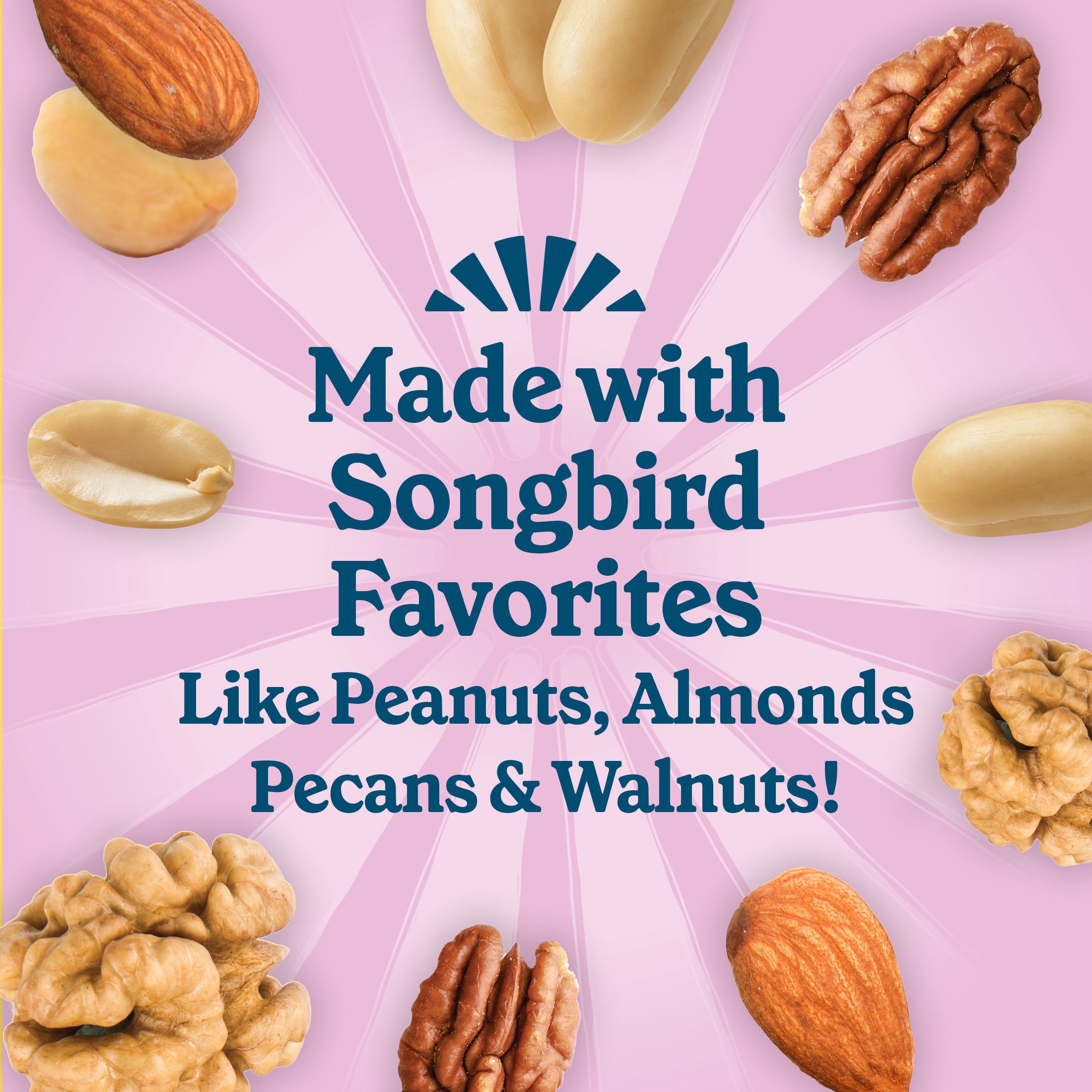 (12 pack) Pennington Feeding Frenzy Woodpecker Suet Treat, 11 oz Cake, Wild Bird Food, 1 Pack, Fresh