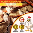 Hemp Bedding for Chicken Coop with Anti Odor DooKashi Small Animal