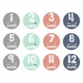 thumbnail image 1 of 24pcs Baby Month Stickers Milestone Self-Adhesive Stickers Anti-Dirty Sticker for Newborn, 1 of 6