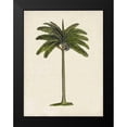 thumbnail image 2 of McCavitt, Naomi 12x14 Black Modern Framed Museum Art Print Titled - British Palms IV, 2 of 5