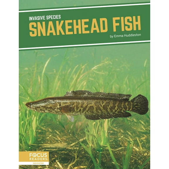 Snakehead Fish, (Hardcover)