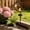 Cat, variant on Hummingbird Moon Solar Garden Stake Light Waterproof Half Moon LED Pathway Decor Crackle Hanging Glass Globe Ball Metal Crescent for Outside Yard Patio Lawn Outdoor Decor