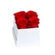 thumbnail image 5 of Matsuzay Rosa preservada Flor eterna Ramo de rosas inmortales Color DIY Regalo de cumpleaños Boda Decoración de acción de gracias Type1 NO1, 5 of 6