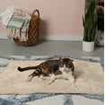 thumbnail image 2 of Furhaven ThermaNAP Self-Warming Cat Bed for Indoor Cats & Large/Medium Dogs, Washable & Reflects Body Heat - Quilted Faux Fur Reflective Bed Mat - Cream, Large, 2 of 9