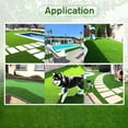 thumbnail image 6 of Goasis Lawn Artificial Grass Turf, 0.8 Inch Pile Height Artificial Grass Rug 12'x53' for Indoor/Outdoor Garden Lawn, 6 of 6