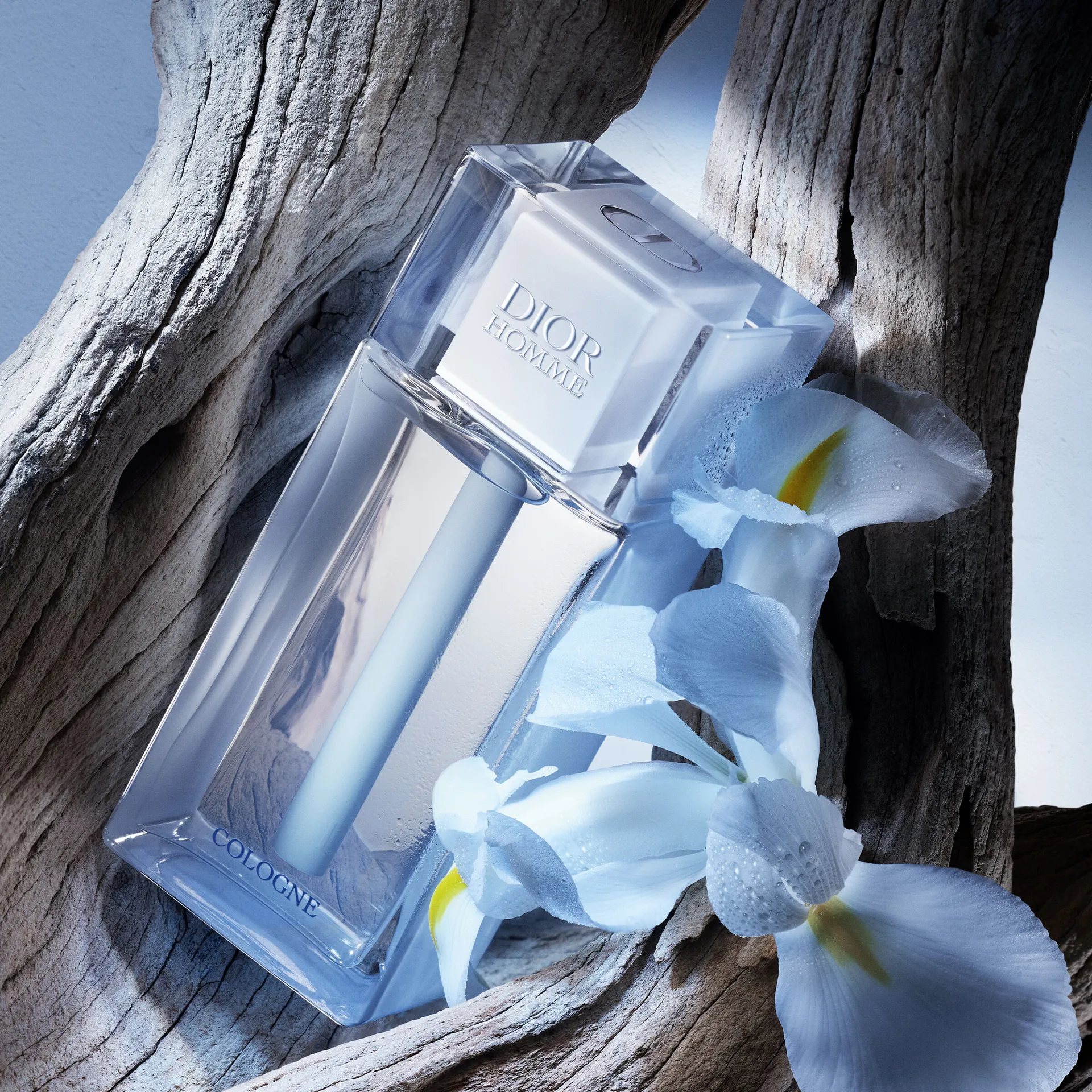 DIOR HOMME COLOGNE by Christian Dior 6.8 OZ EAU DE COLOGNE SPRAY