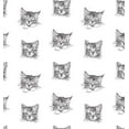 thumbnail image 2 of Cat Wrapping Paper, 2 of 3