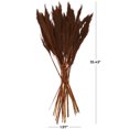 thumbnail image 3 of 35" Dried Plant Natural Foliage Pampas Bouquet with Long Stems, by DecMode, 3 of 8