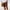 Brown, variant on Njoeus Men's Linen Shorts, Casual Cotton Elastic Waist Shorts for Men Lightweight Summer Beach Short Pants with Pockets and Drawstring S-5XL (Available in Big & Tall Size)