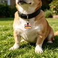thumbnail image 1 of Placas de identificación personalizadas para mascotas: placas de identificación silenciosas de silicona ligera con grabado permanente para collar., 1 of 6