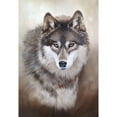 thumbnail image 1 of Taladro Pintura Diamante (DF3550) 5D DIY Punto de Cruz Completo Bordado Mosaico (Wolf03) 40x50cm FLhrweasw Nuevo, 1 of 1