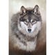 thumbnail image 1 of Taladro Pintura Diamante (DF3550) 5D DIY Punto de Cruz Completo Bordado Mosaico (Wolf03) 30x40cm Hugtrwg Para estrenar, 1 of 1