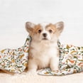 thumbnail image 4 of Yiaed Autumn Gnomes Holding Mushroom Print Dog Blankets-Cat Blanket Washable for Couch Protection,Puppy Blanket, Soft Plush Reversible Throw Furniture Protector-Large, 4 of 8