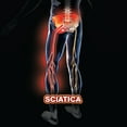 thumbnail image 4 of Therapeutic Sciatica Pillow, 4 of 9