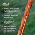 thumbnail image 4 of Brazos Handcrafted Wood Walking Stick, Twisted Cedar, Backpacker Style Handle, for Men & Women, , 58", 4 of 7