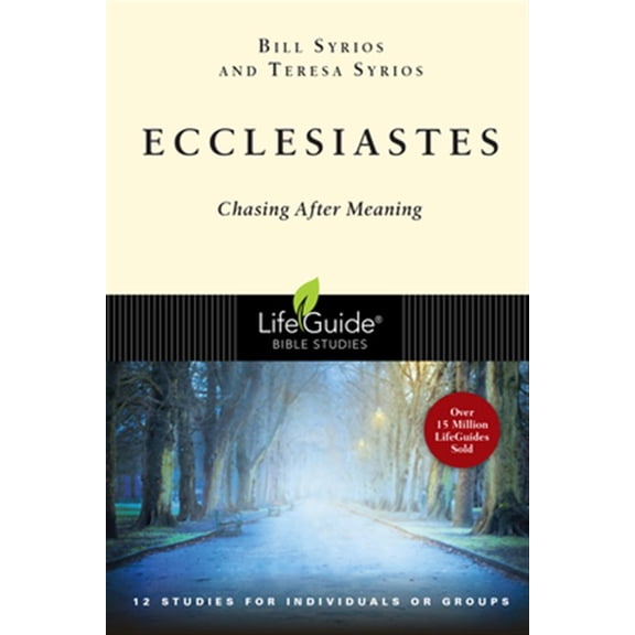 Pre-Owned Ecclesiastes: Chasing After Meaning (Paperback) 0830830278 9780830830275