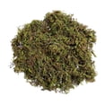 thumbnail image 1 of Decoración artificial del césped del 100g para artes jardines de hadas, 1 of 9