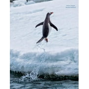 Gentoo Penguin Unruled Notebook: Unruled, Blank Notebook. No Lines. No Page Numbers. Glossy Cover with Image on Front and Back. Full Size at 8.5 X 11