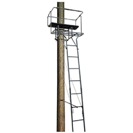 Big Dog Big Bud Ladder Stand Two Man 15 Ft. (Best Big Game Hunting Dogs)