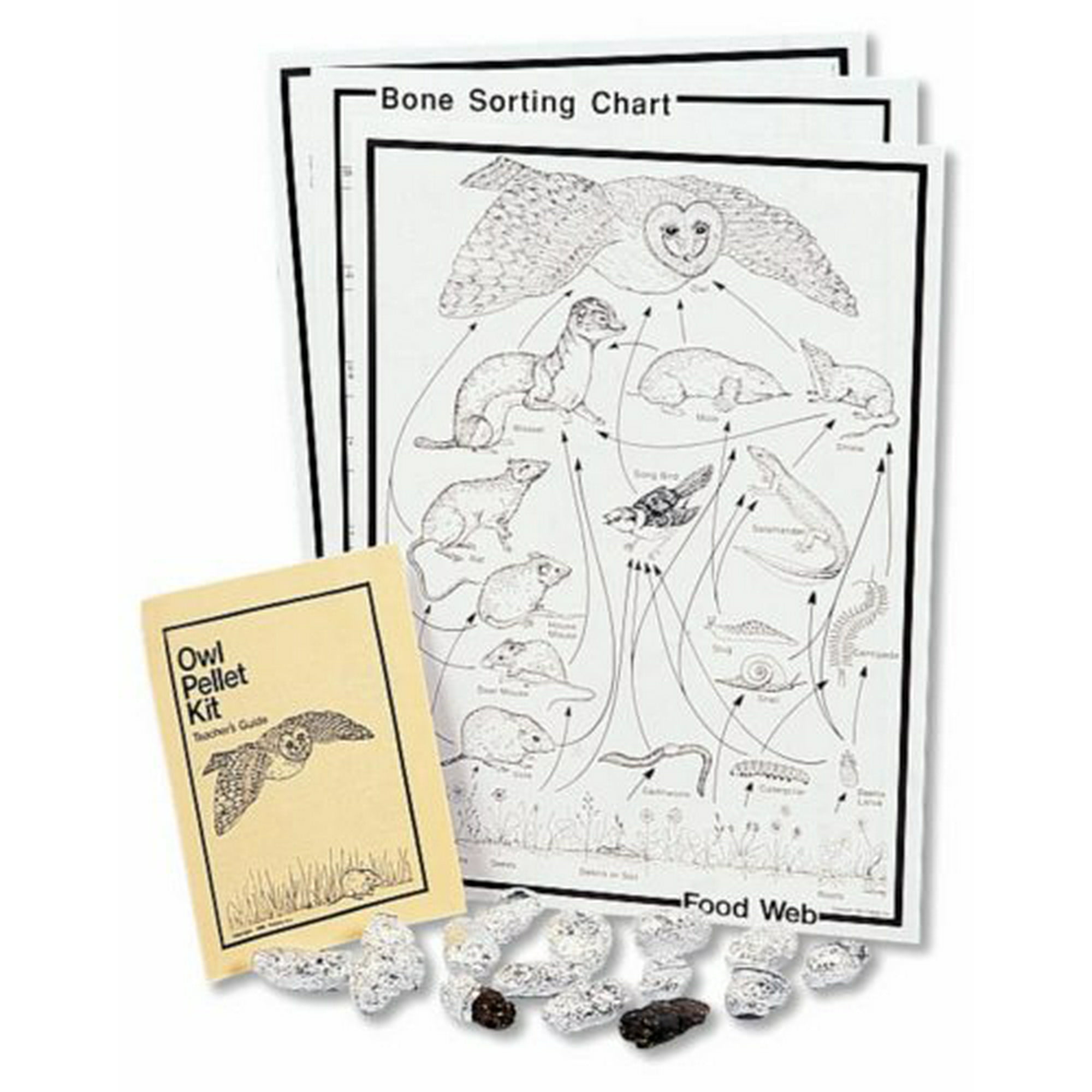 Barn Owl Pellet Classroom Kit Walmart Canada