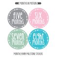 thumbnail image 2 of Months in Motion Baby Monthly Stickers - Baby Milestone Stickers - Newborn Girl Stickers - Month Stickers for Baby Girl - Baby Girl Stickers - Newborn Monthly Milestone Sticker, 2 of 3