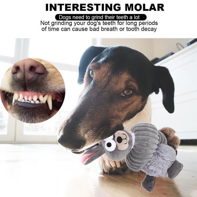 Juguete Molar de Mascotas Duradero, Peluche de Peluche, Juguete para Mascotas, Mascotas, Limpieza de Mascotas, Gatos de Juguete para perra perros
