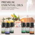 thumbnail image 3 of 6 Pack of 100% Pure Essential Aromatherapy Oils, 3 of 5