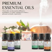 6 Pack of 100% Pure Essential Aromatherapy Oils