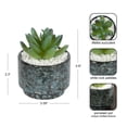 thumbnail image 6 of Mainstays Artificial Crassula Ovata Succulent Plant, 3.9 in, Teal Ceramic Pot, 6 of 10