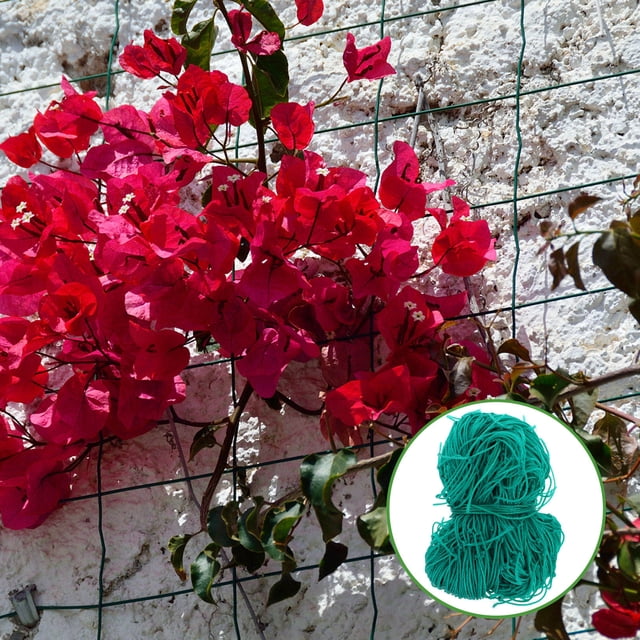 GAXIRE Malla Trellis Para Plantas Con Soporte Firme Y Uso En Jardín Exterior